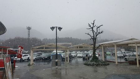 明日から４月なのに・・・・